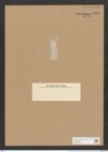Surirella demerarae A. Schm. (de-Toni-Nr.: Genus 53, Species 2392) Zeichnungen Sammlung Grunow Nr. 4799 (NHMW-BOT-W0372946)